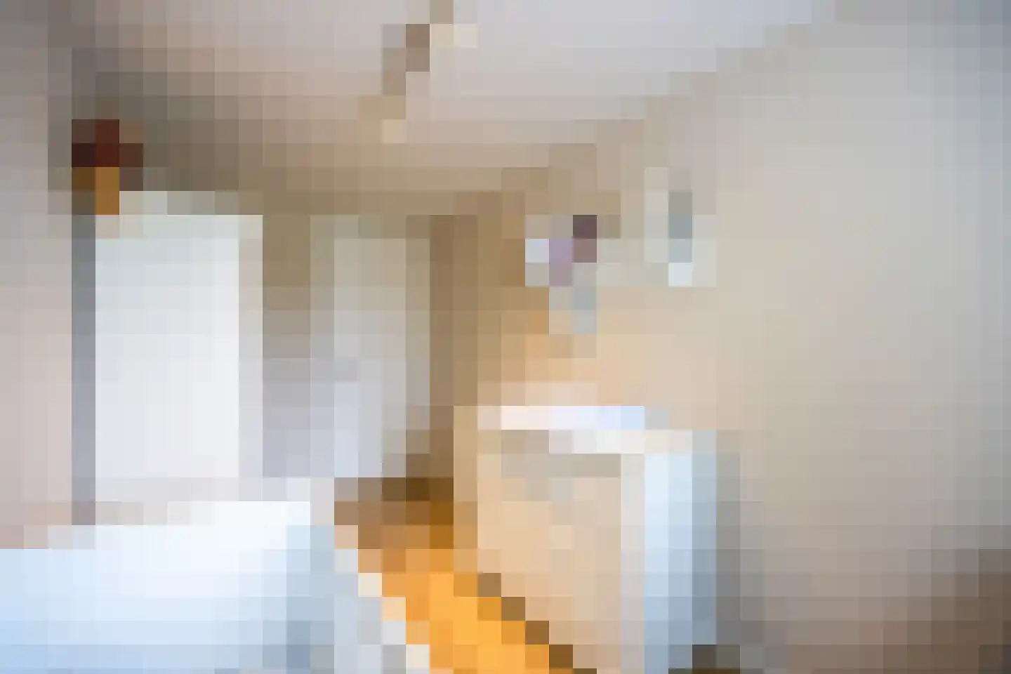 Bisschopswaarde 10 Laren thumbnail 33