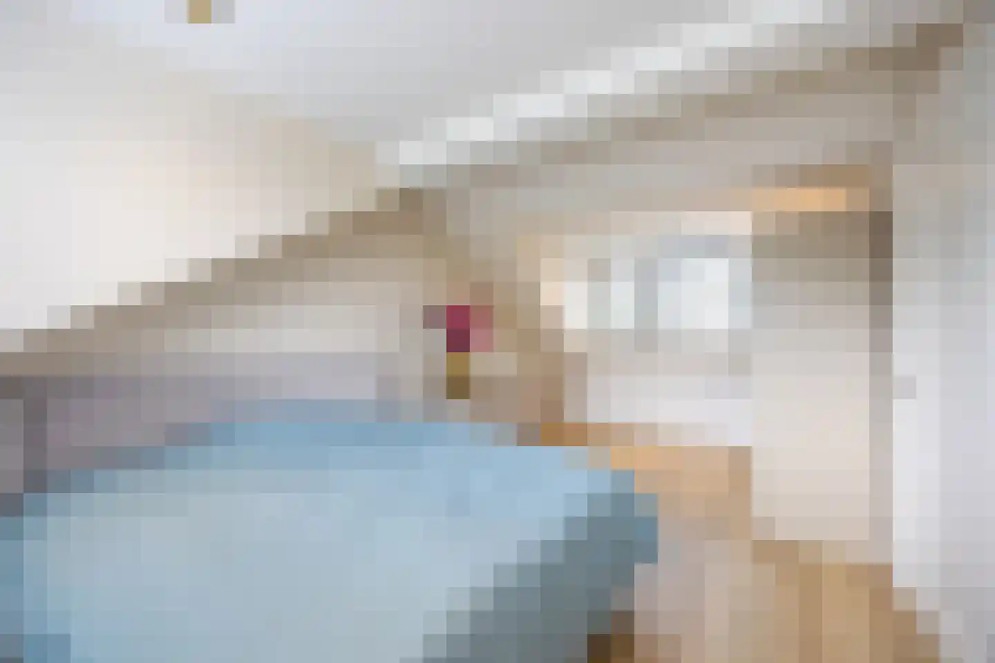 Bisschopswaarde 10 Laren thumbnail 36