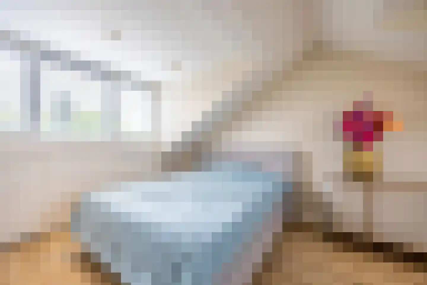 Bisschopswaarde 10 Laren thumbnail 37