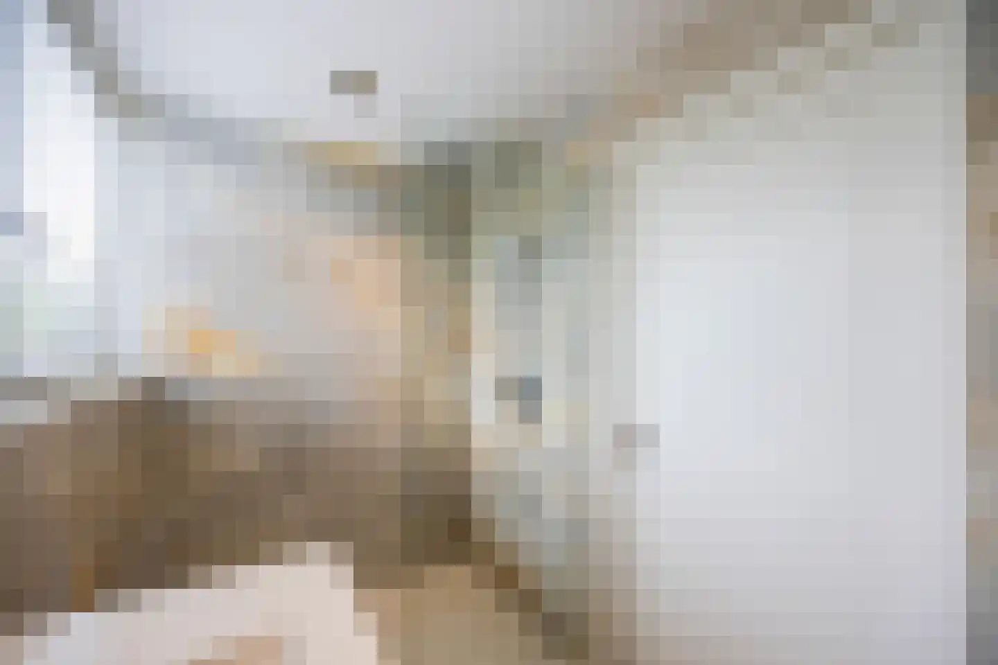 Bisschopswaarde 10 Laren thumbnail 39