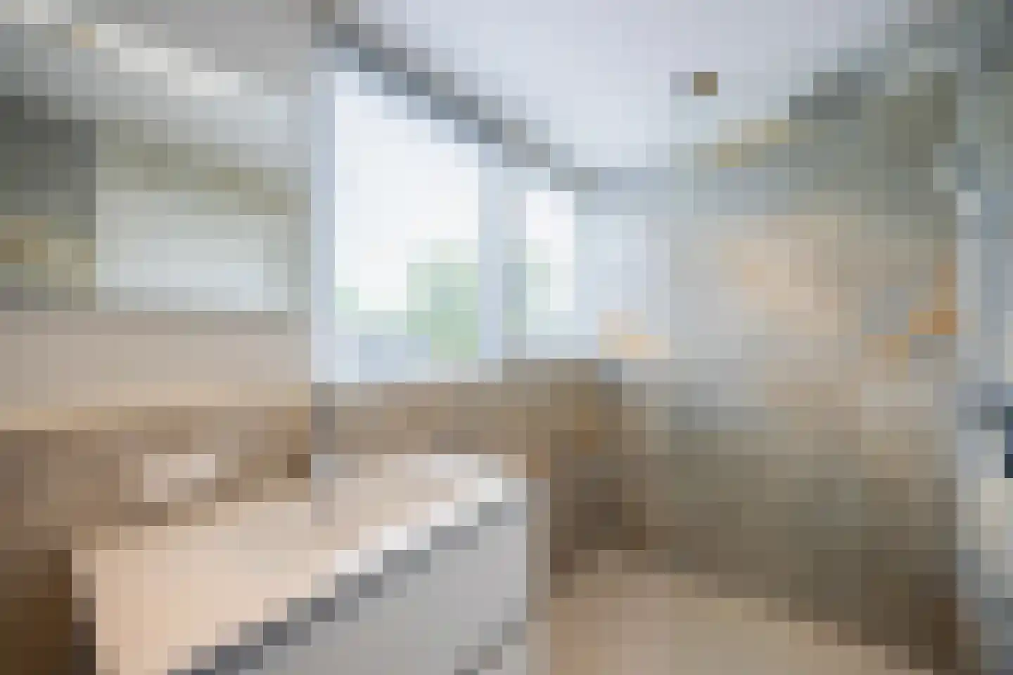 Bisschopswaarde 10 Laren thumbnail 40