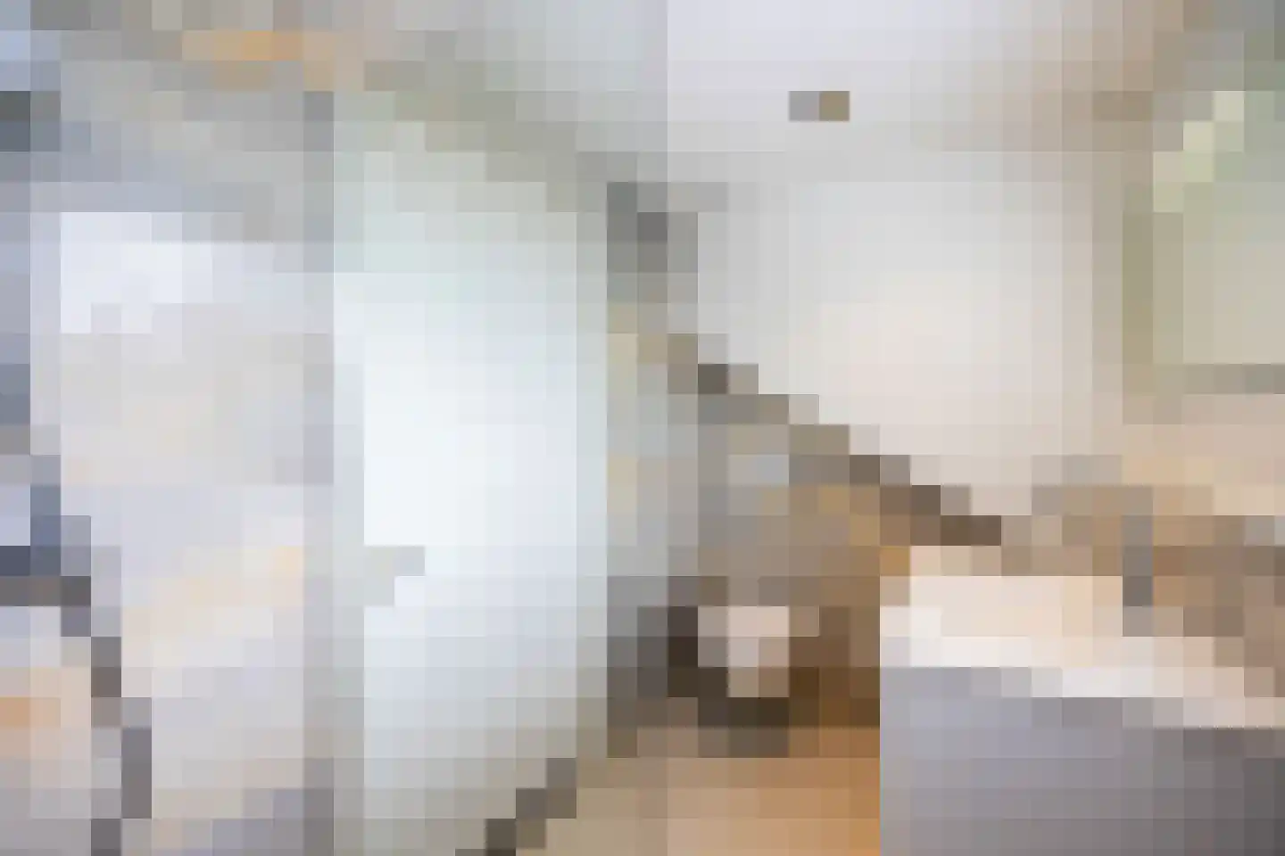Bisschopswaarde 10 Laren thumbnail 41