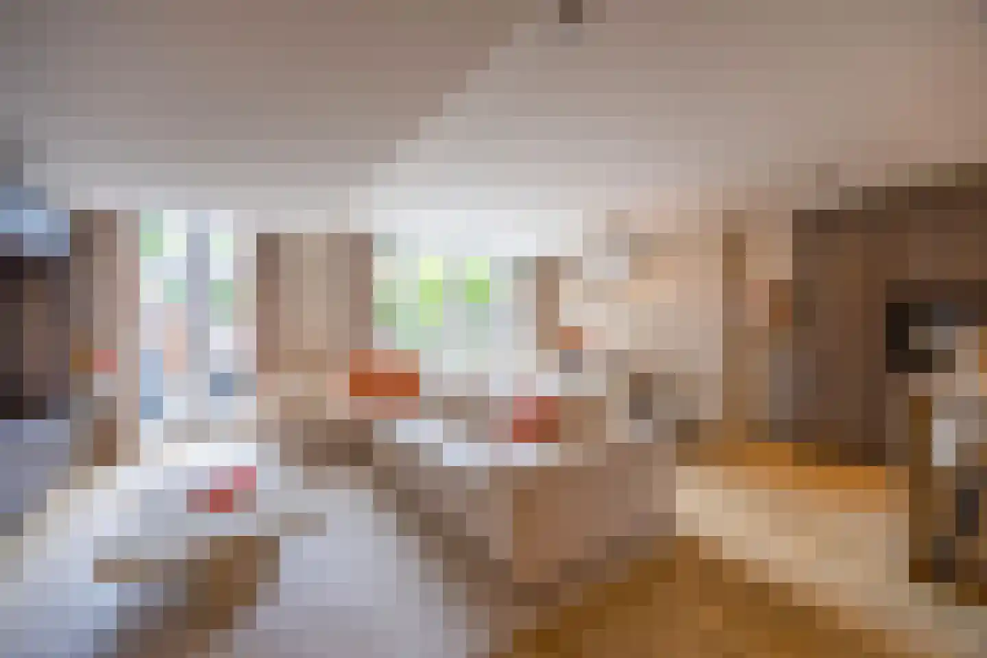 Bisschopswaarde 10 Laren thumbnail 7