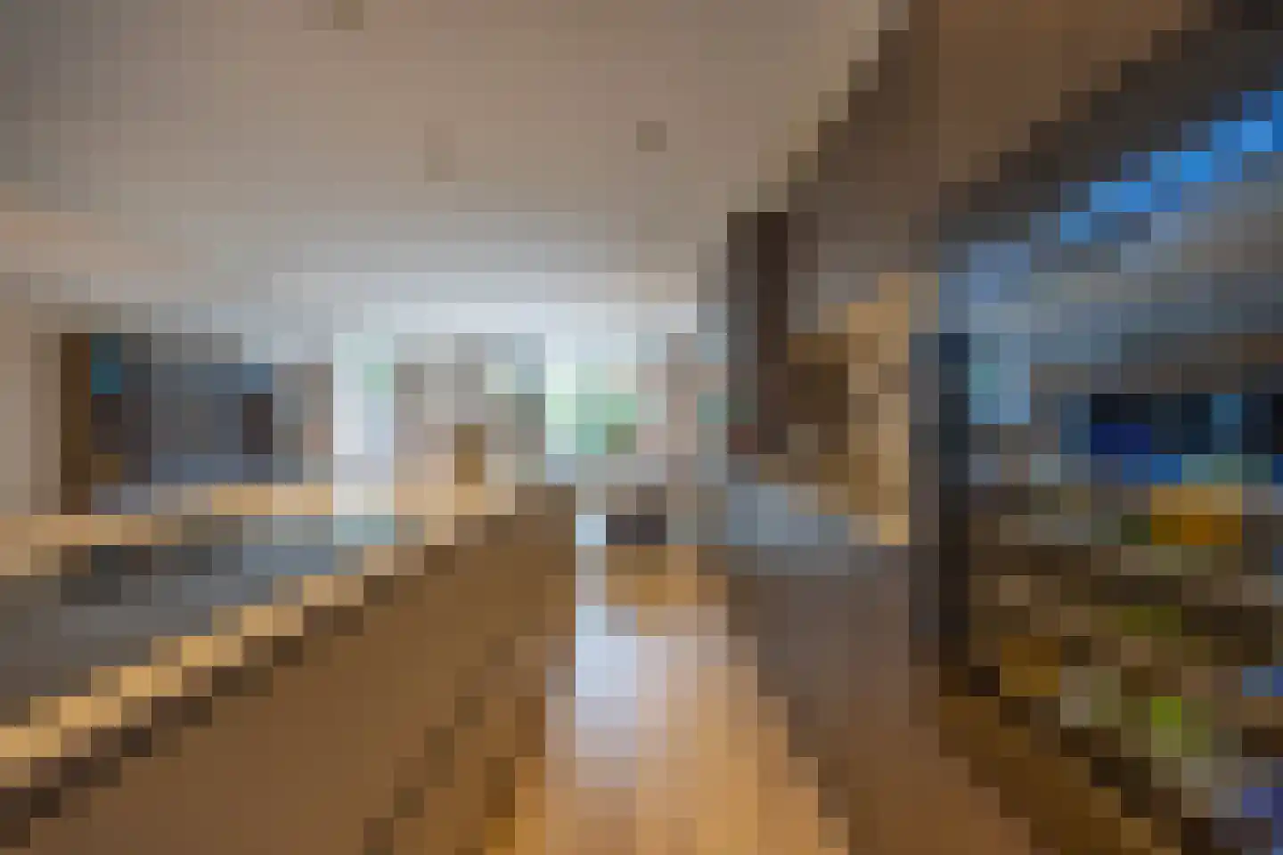 Bisschopswaarde 10 Laren thumbnail 8