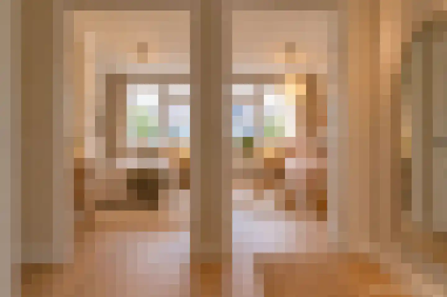 Bisschopswaarde 25 Laren thumbnail 17