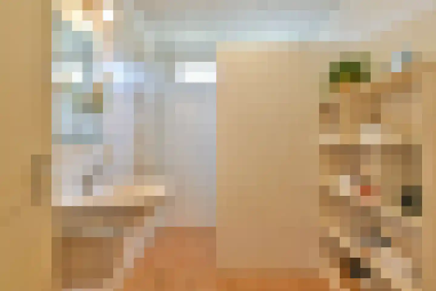 Bisschopswaarde 25 Laren thumbnail 20