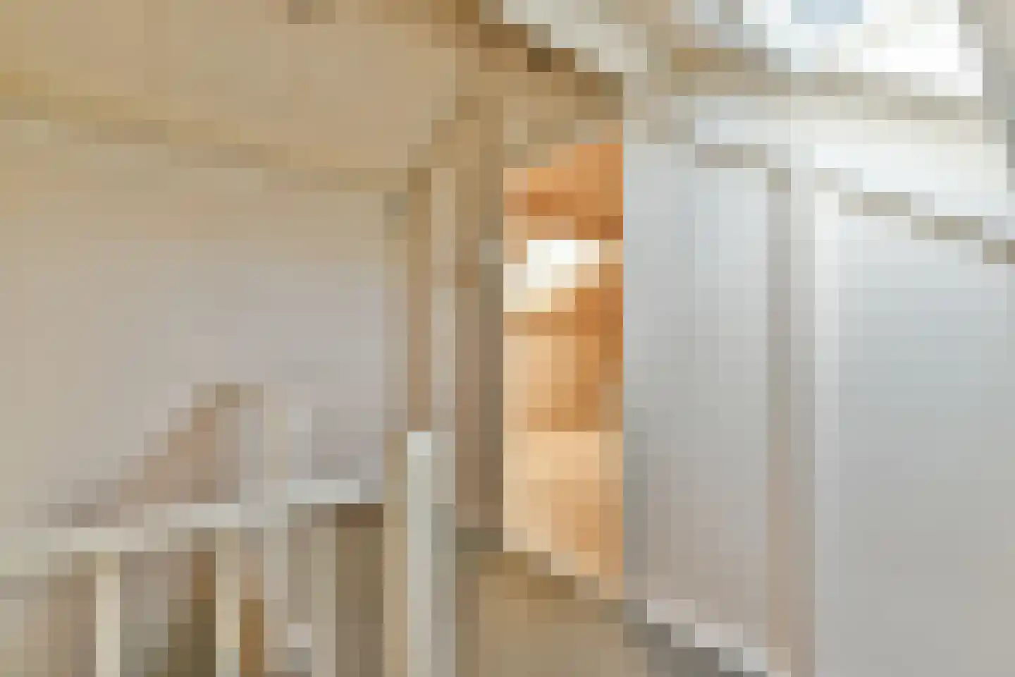 Bisschopswaarde 25 Laren thumbnail 23