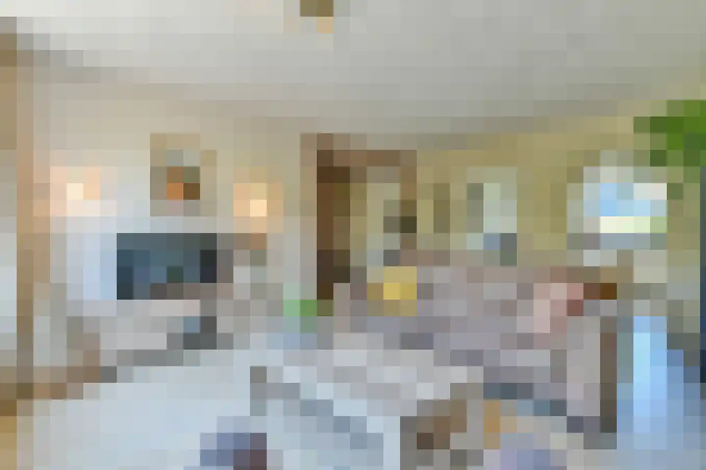 Bisschopswaarde 25 Laren thumbnail 5