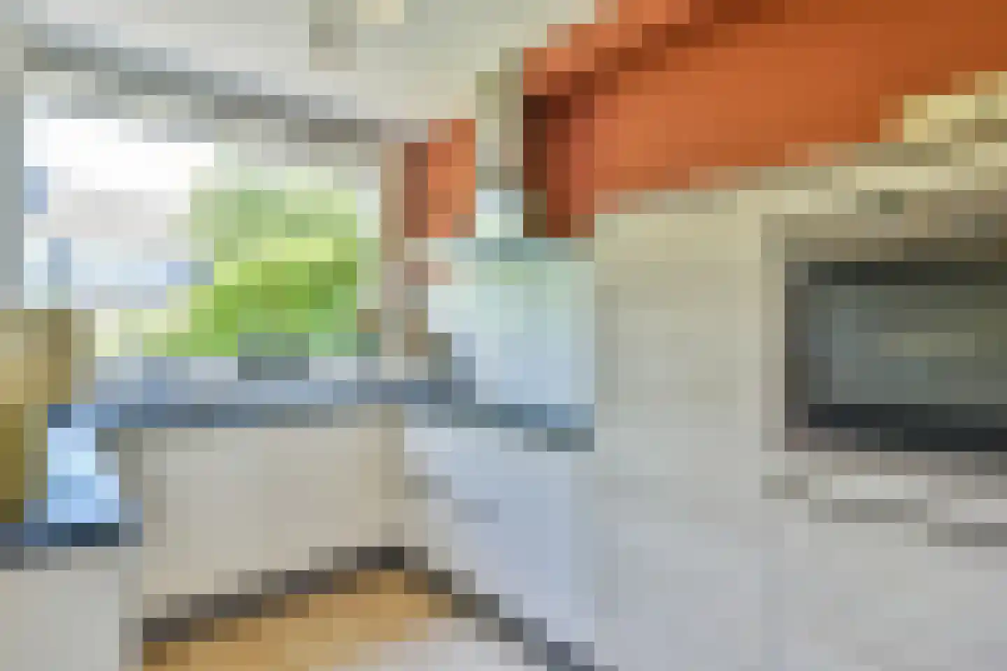 Bisschopswaarde 25 Laren thumbnail 8