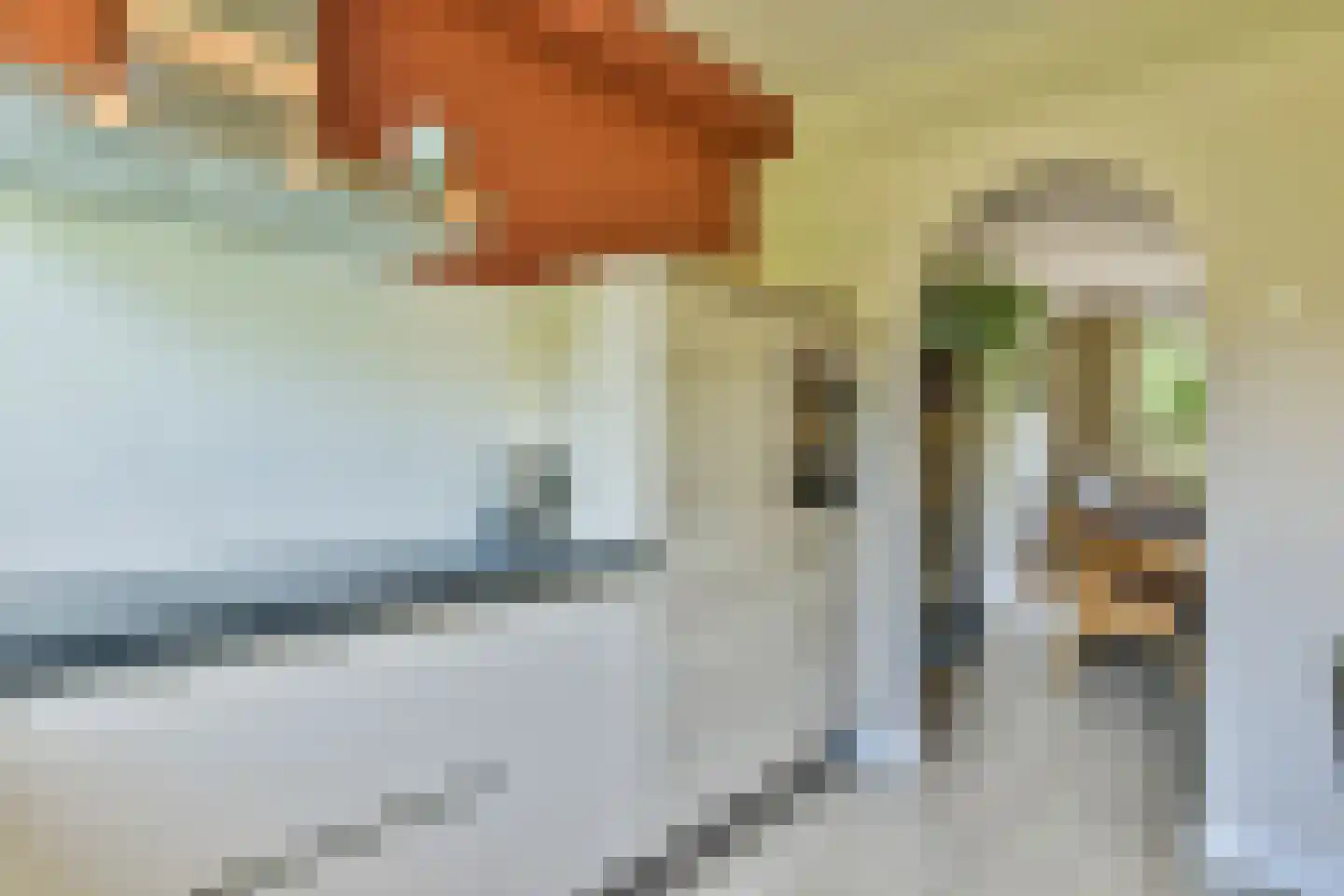 Bisschopswaarde 25 Laren thumbnail 9