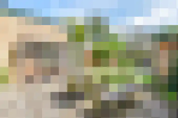 Bisschopswaarde 8 Laren thumbnail 32