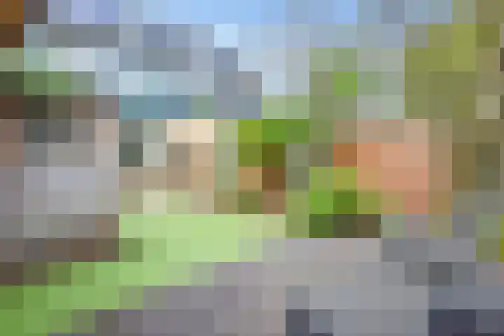 Bisschopswaarde 8 Laren thumbnail 33