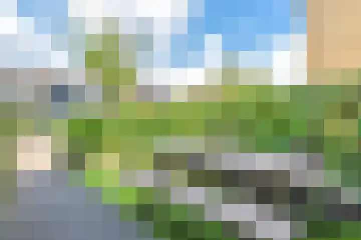 Bisschopswaarde 8 Laren thumbnail 35