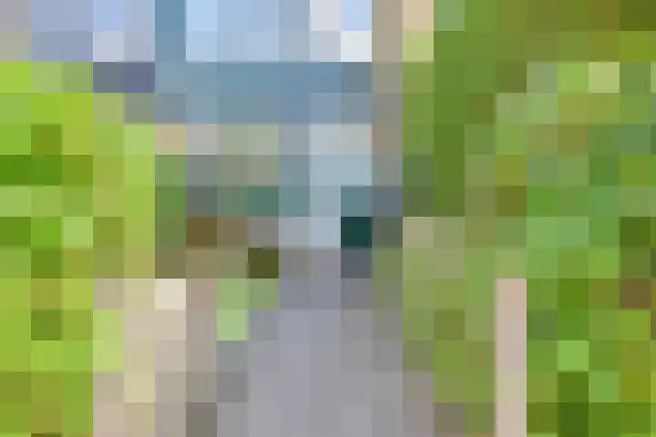 Bisschopswaarde 8 Laren thumbnail 36