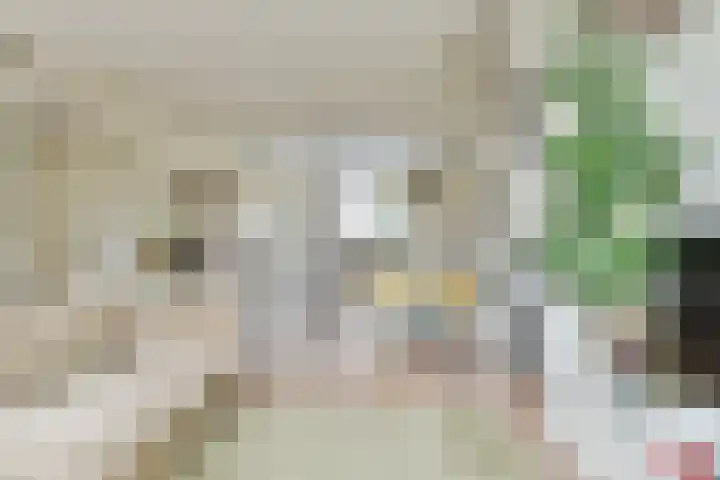 Bisschopswaarde 8 Laren thumbnail 5