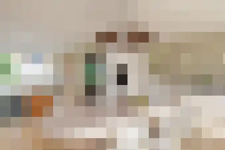 Bisschopswater 7 Breukelen thumbnail 12