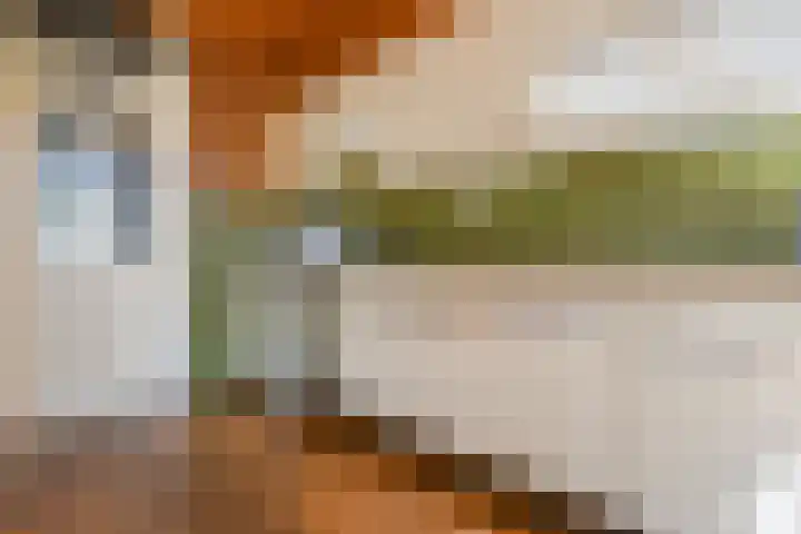 Bisschopswater 7 Breukelen thumbnail 14