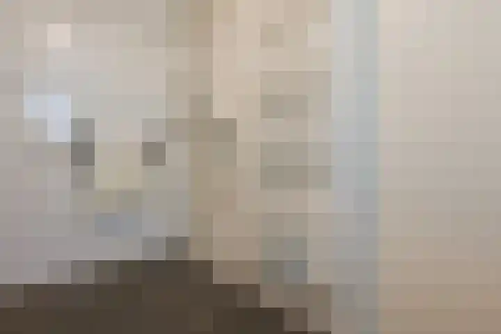 Bisschopswater 7 Breukelen thumbnail 24