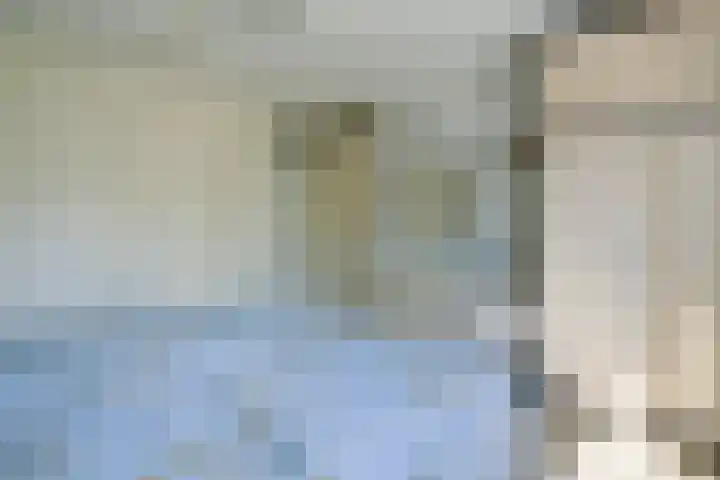 Bisschopswater 7 Breukelen thumbnail 29