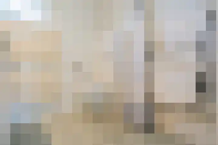 Bisschopswater 7 Breukelen thumbnail 36
