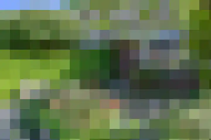 Bisschopswater 7 Breukelen thumbnail 4
