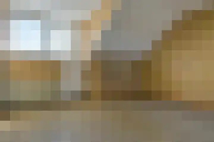 Bisschopswater 7 Breukelen thumbnail 41