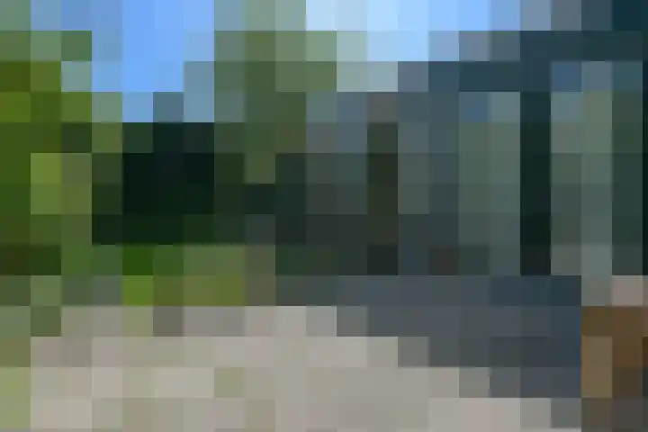 Bisschopswater 7 Breukelen thumbnail 46