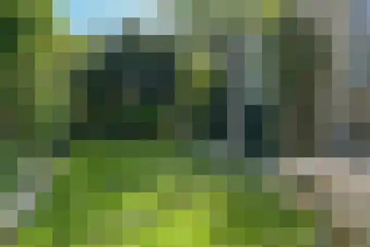 Bisschopswater 7 Breukelen thumbnail 47