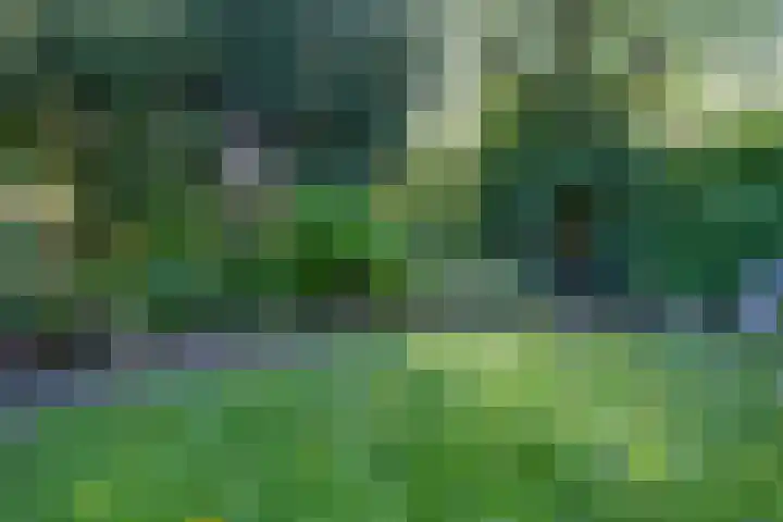 Bisschopswater 7 Breukelen thumbnail 51