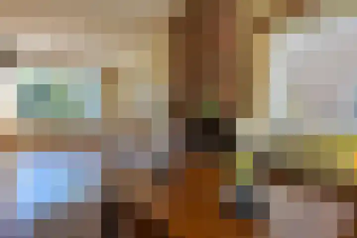 Bisschopswater 7 Breukelen thumbnail 8