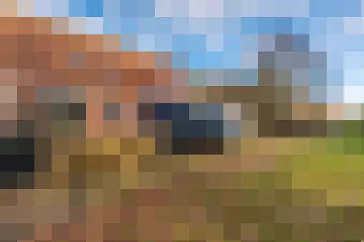 Bisschopsweg 10 Bourtange thumbnail 10