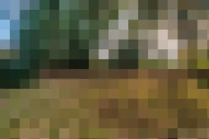 Bisschopsweg 10 Bourtange thumbnail 11