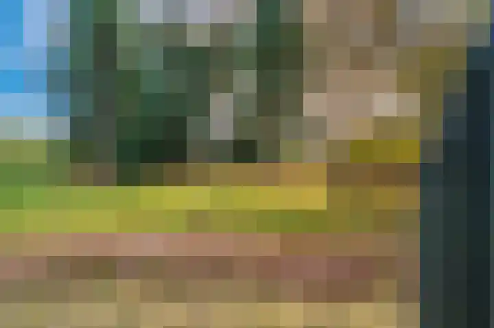 Bisschopsweg 10 Bourtange thumbnail 12