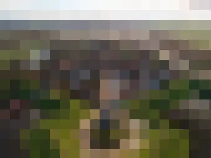 Bisschopsweg 10 Bourtange thumbnail 16