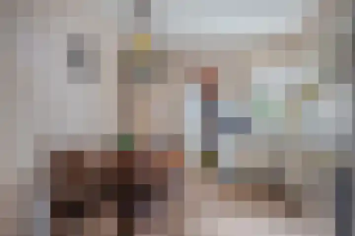 Bisschopsweg 10 Bourtange thumbnail 29