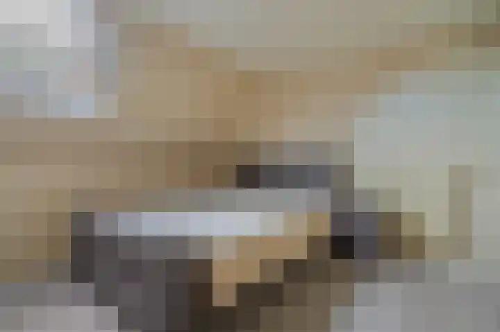 Bisschopsweg 10 Bourtange thumbnail 39