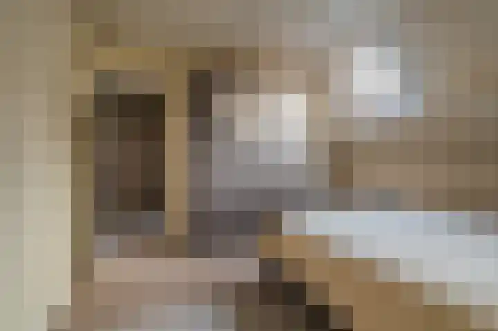 Bisschopsweg 10 Bourtange thumbnail 40