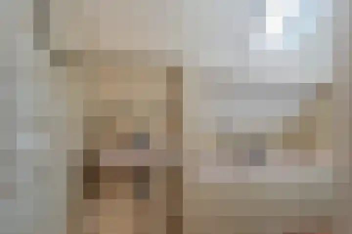 Bisschopsweg 10 Bourtange thumbnail 45