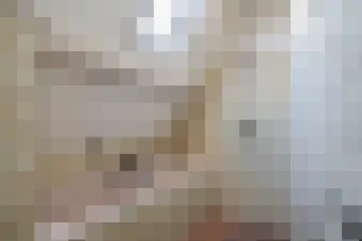 Bisschopsweg 10 Bourtange thumbnail 46