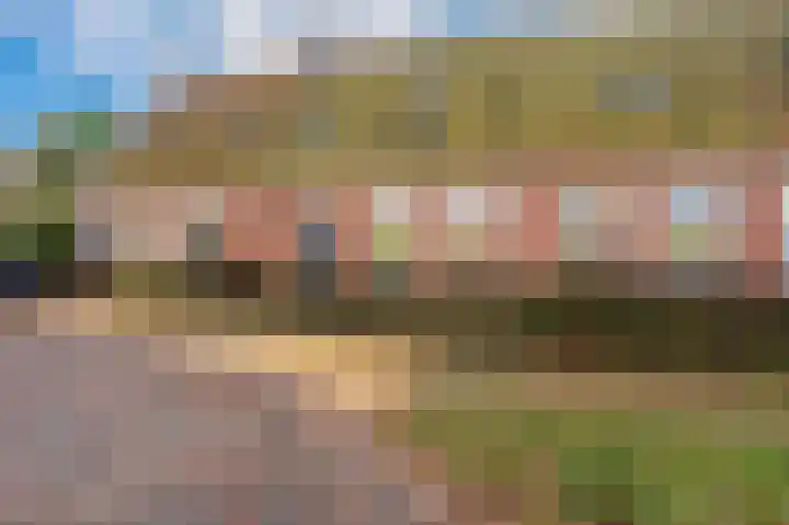 Bisschopsweg 10 Bourtange thumbnail 5