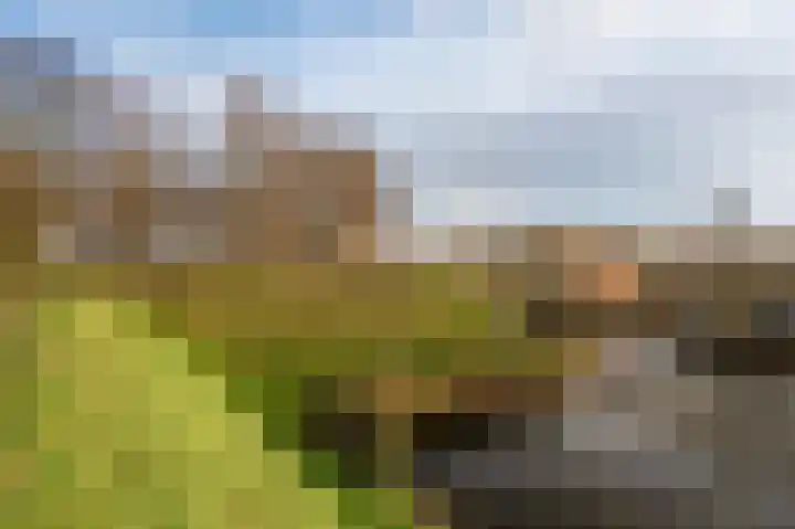 Bisschopsweg 10 Bourtange thumbnail 54