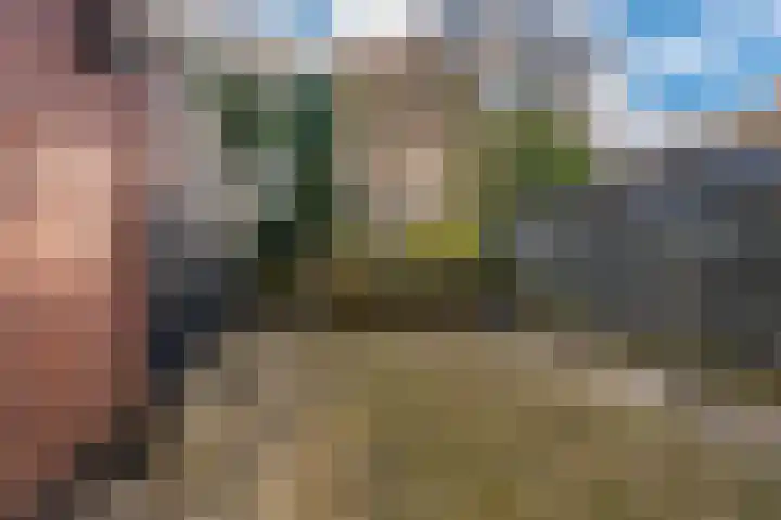 Bisschopsweg 10 Bourtange thumbnail 9