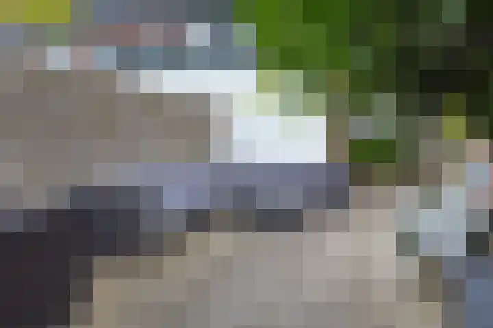 Bisschopsweg 115 Amersfoort thumbnail 11