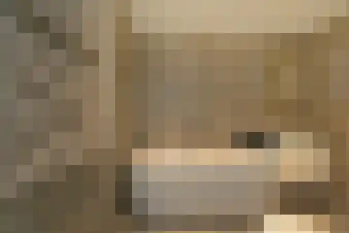 Bisschopsweg 115 Amersfoort thumbnail 16
