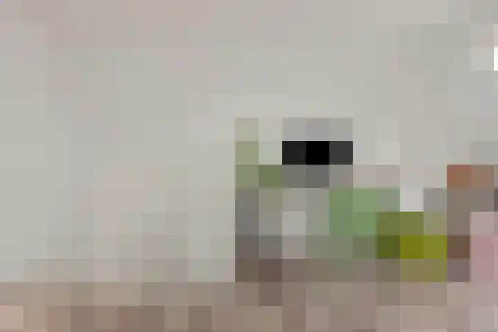 Bisschopsweg 115 Amersfoort thumbnail 20