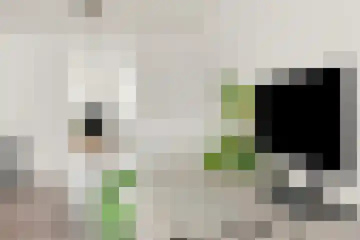 Bisschopsweg 115 Amersfoort thumbnail 21