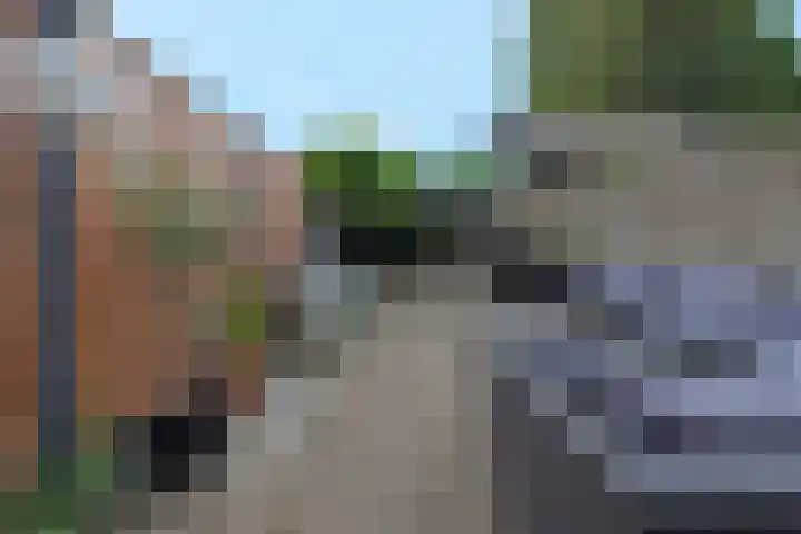 Bisschopsweg 115 Amersfoort thumbnail 25