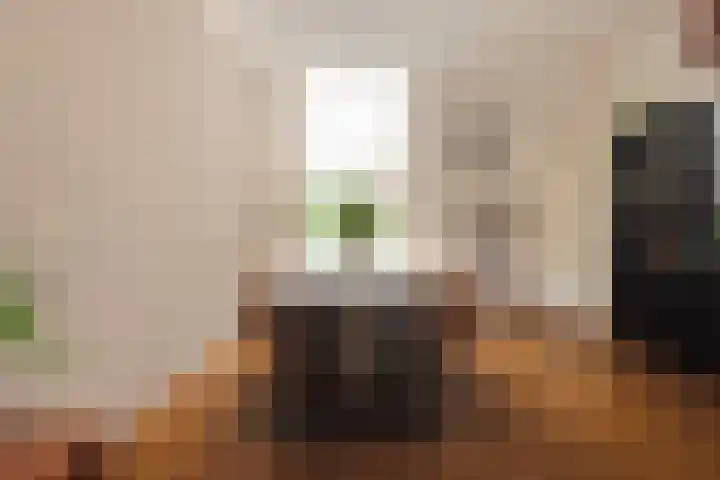 Bisschopsweg 115 Amersfoort thumbnail 4