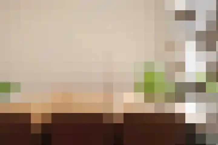 Bisschopsweg 115 Amersfoort thumbnail 7