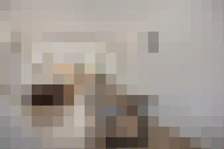 Bisschopsweg 117 Amersfoort thumbnail 13